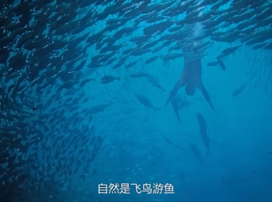 維羅生態(tài)健康理石新品發(fā)布視頻