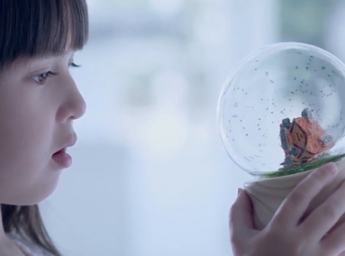 維羅生態(tài)磚生態(tài)健康理石宣傳片